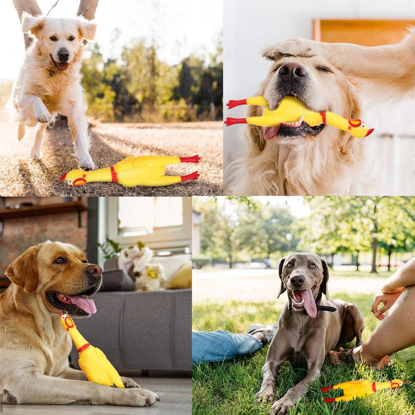 Schreiendes Gummihuhn Hundespielzeug