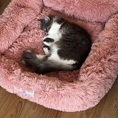 Pfoten&Nasen™Das gemütliche Katzenbett
