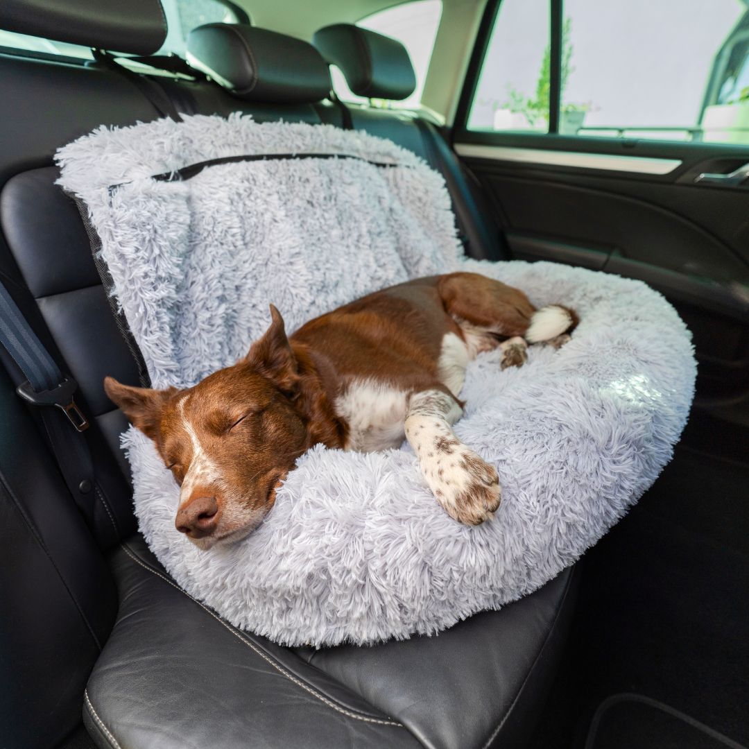 2-in-1 Memory Foam Autositz und Hundebett