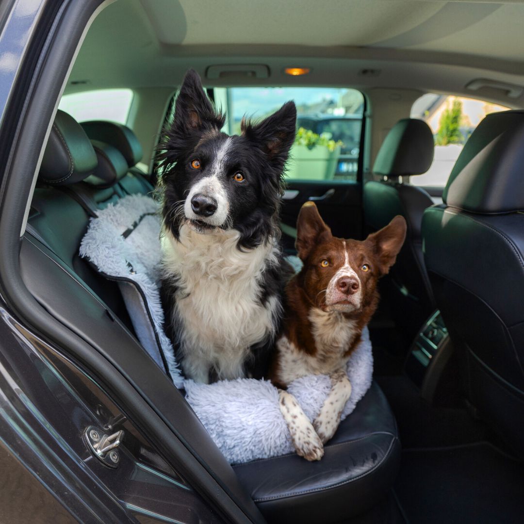 2-in-1 Memory Foam Autositz und Hundebett