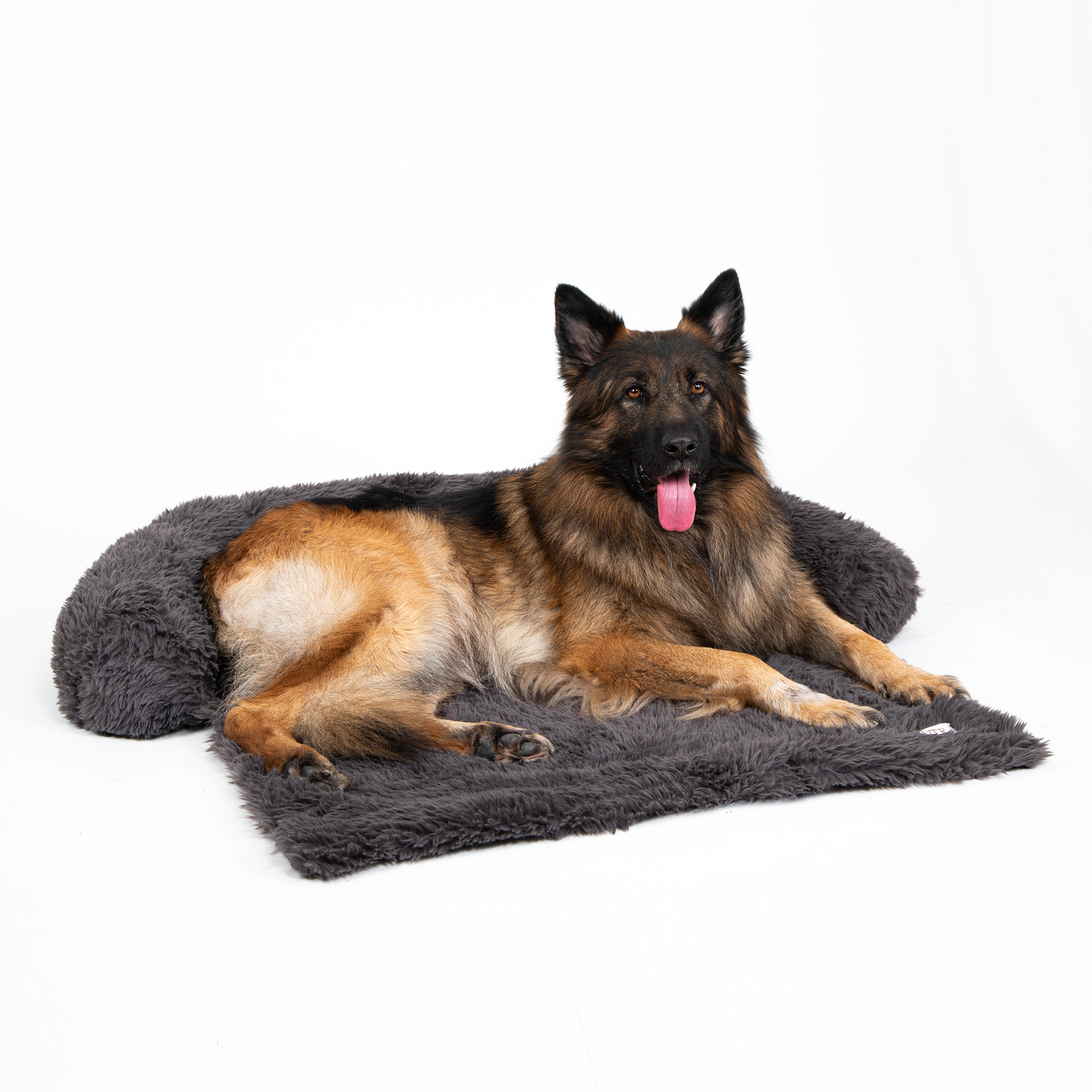 Dog Sofa Protector Bed – Cushioned Fabric, Indoor Use