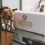 Orthopädisches Hundebett aus Memory-Schaum