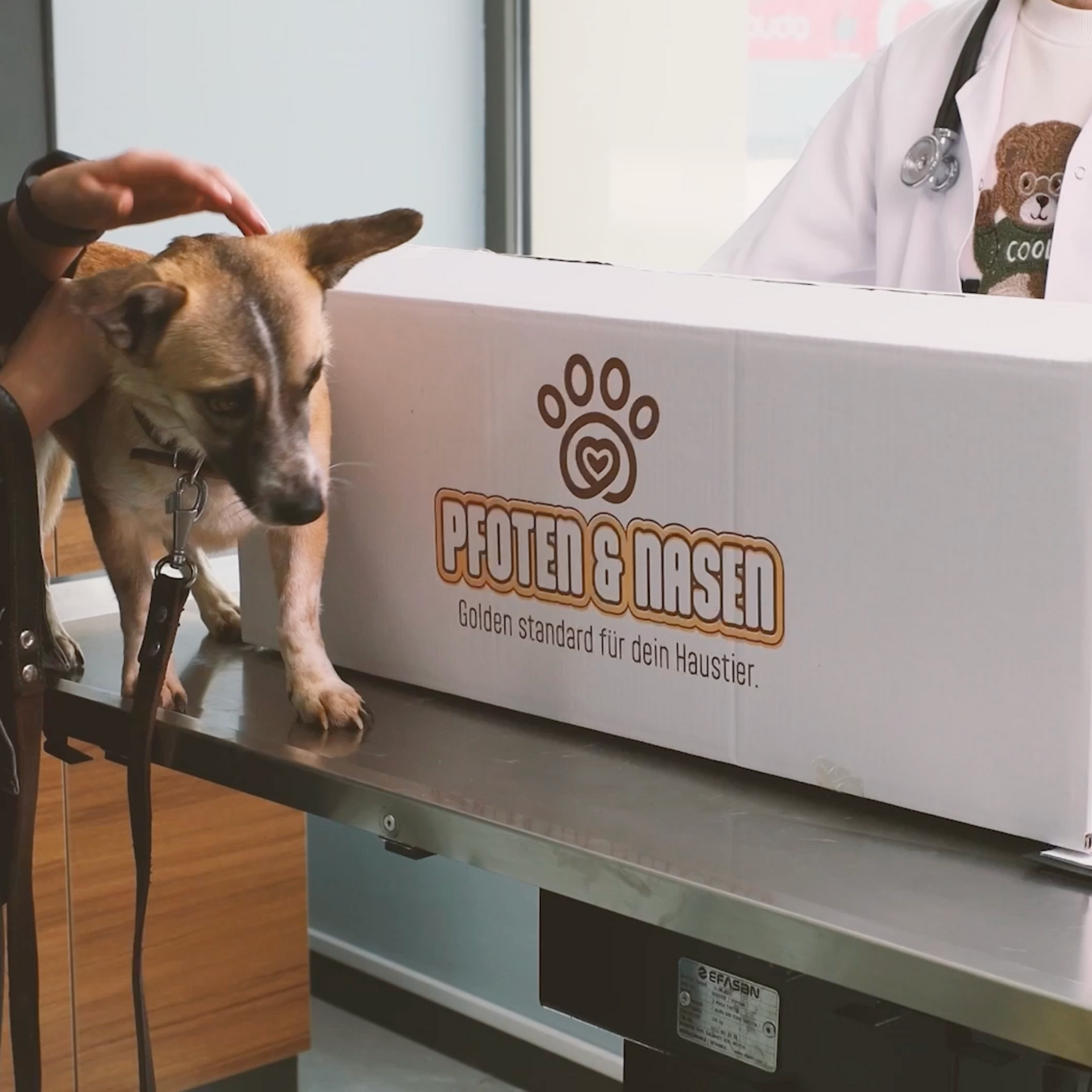 Orthopädisches Hundebett aus Memory-Schaum