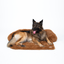 Dog Sofa Protector Bed – Cushioned Fabric, Indoor Use