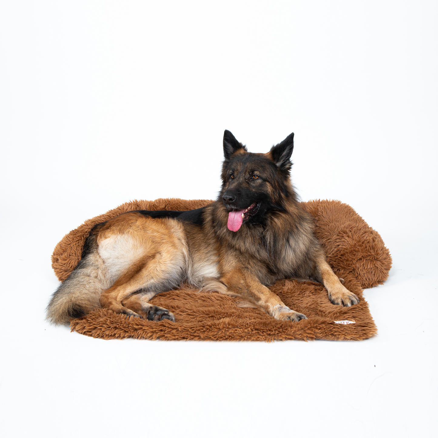 Dog Sofa Protector Bed – Cushioned Fabric, Indoor Use