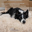 Deluxe Wolke 7 rundes Hundebett mit Ersatzbezug