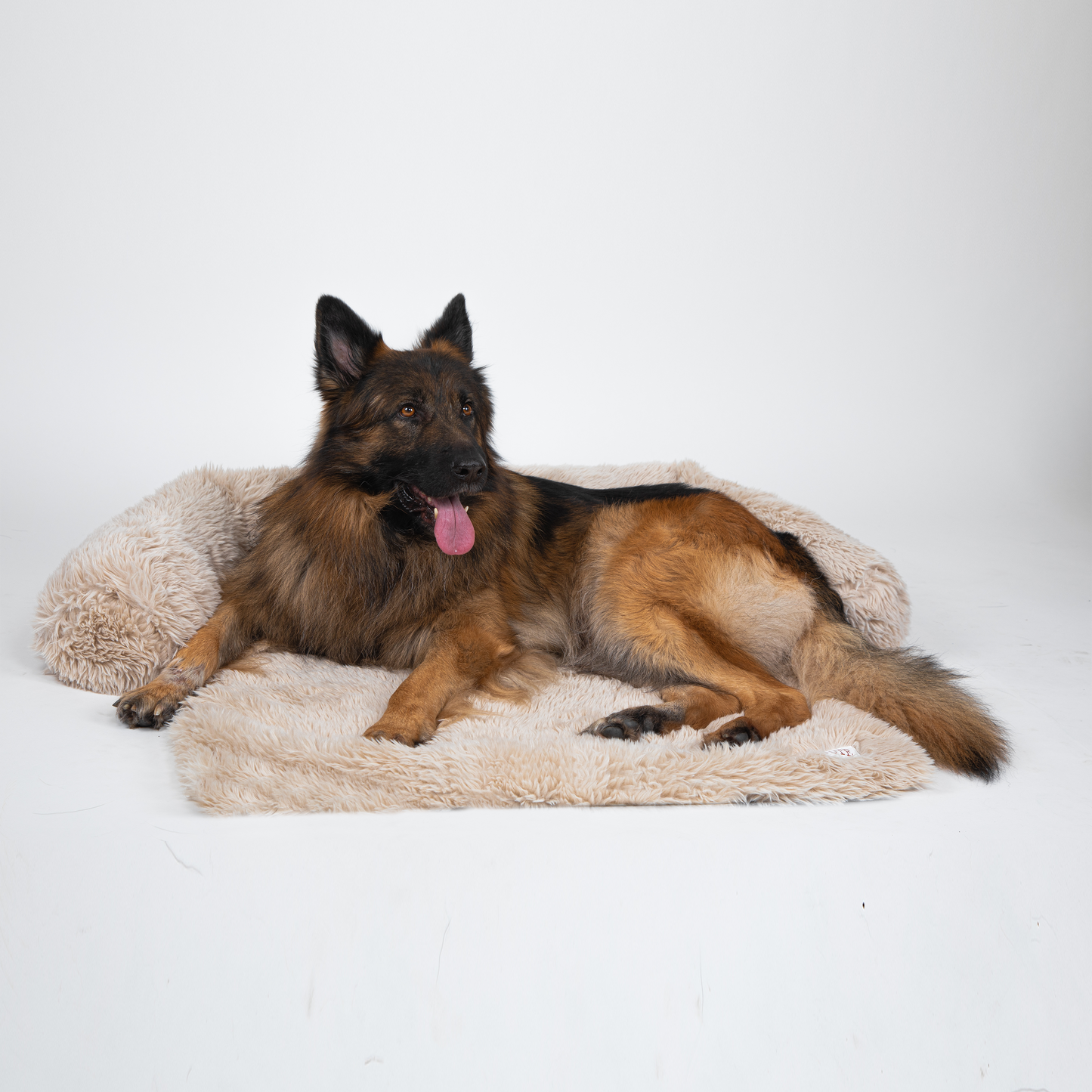 Dog Sofa Protector Bed – Cushioned Fabric, Indoor Use