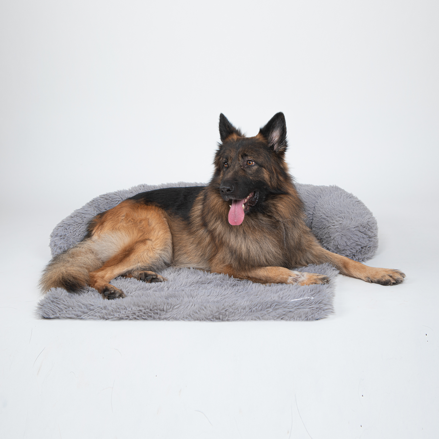 Dog Sofa Protector Bed – Cushioned Fabric, Indoor Use