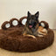Bärenpfote Orthopädisches Hundebett, Gemütliches Tierbett