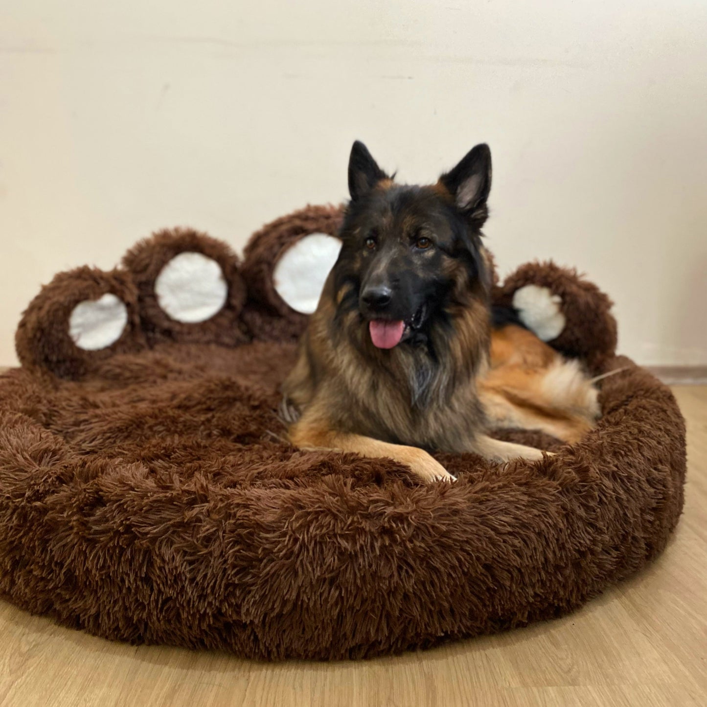 Bärenpfote Orthopädisches Hundebett, Gemütliches Tierbett