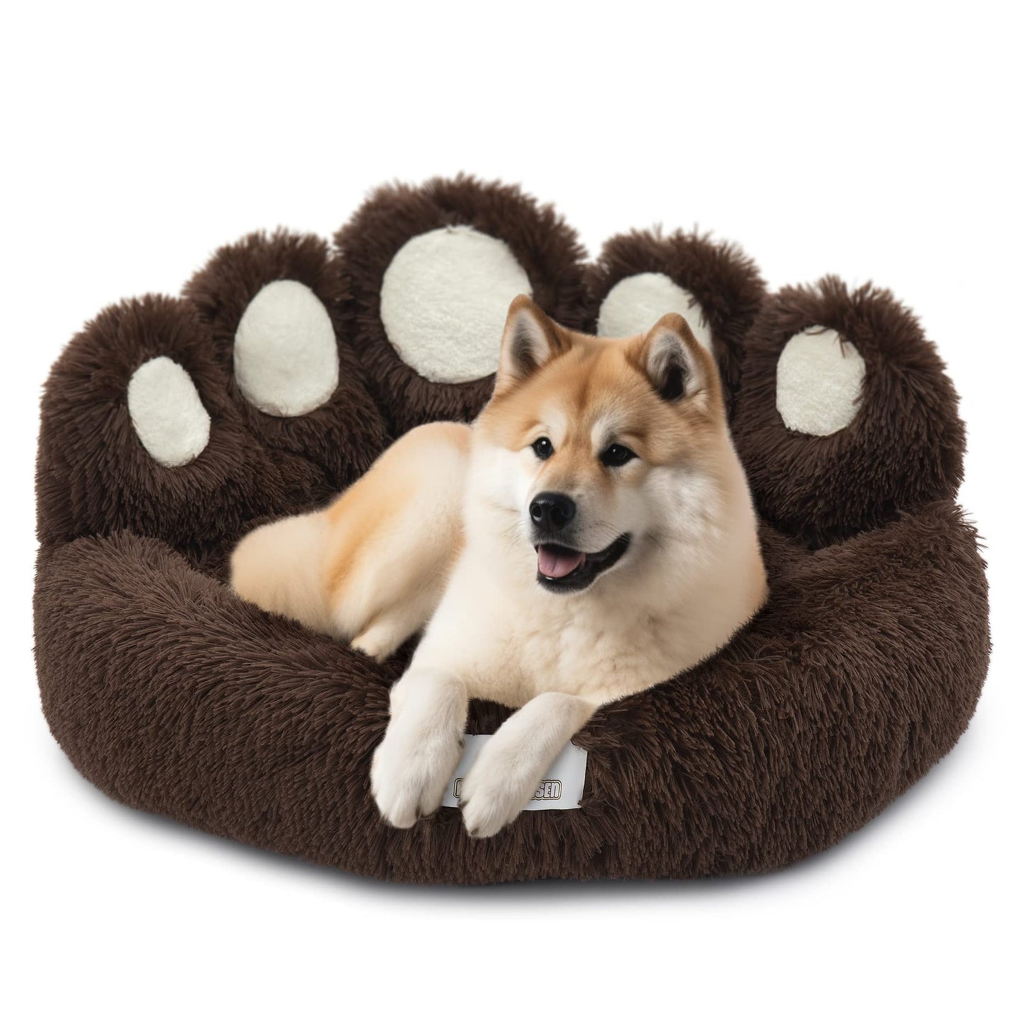 Bärenpfote Orthopädisches Hundebett, Gemütliches Tierbett