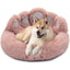 Bärenpfote Orthopädisches Hundebett, Gemütliches Tierbett