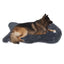 Orthopädisches Hundebett aus Memory-Schaum