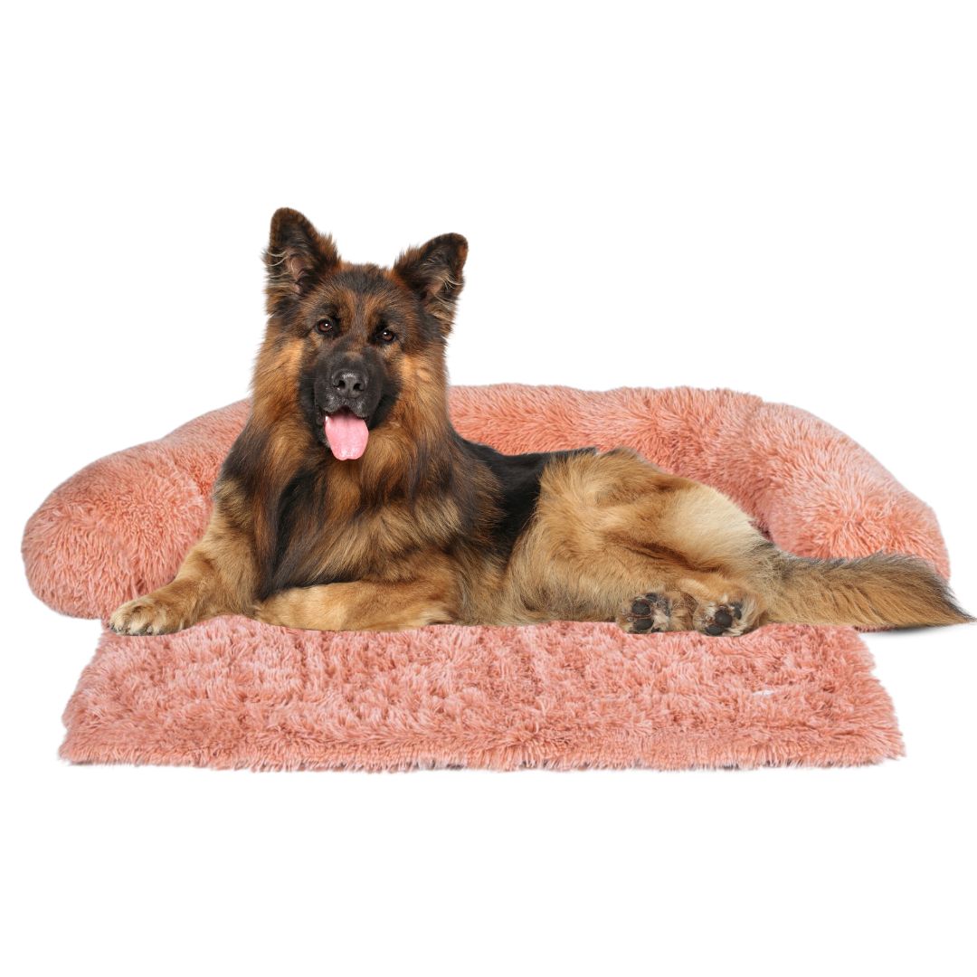 Dog Sofa Protector Bed – Cushioned Fabric, Indoor Use