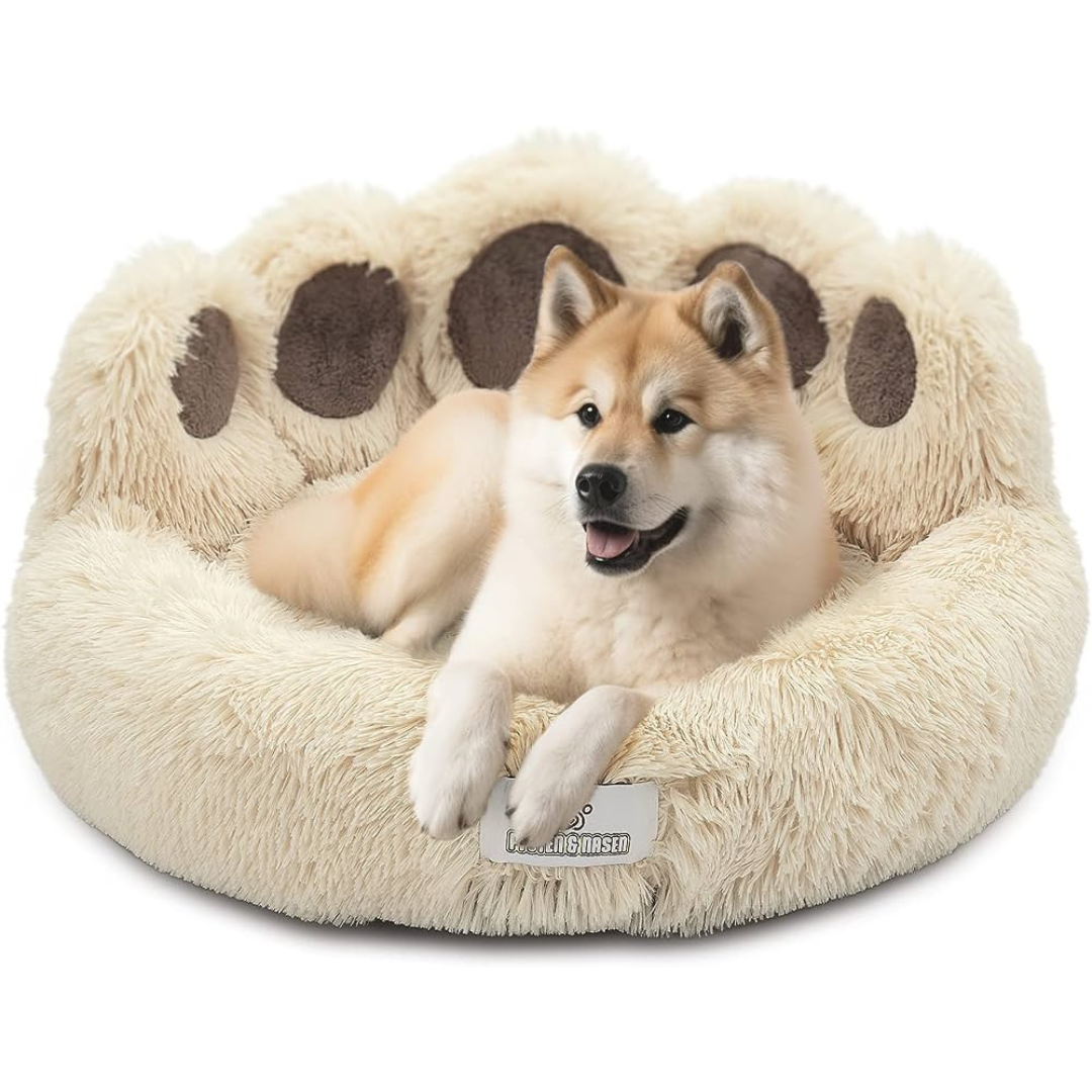 Bärenpfote Orthopädisches Hundebett, Gemütliches Tierbett