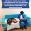 Dog Sofa Protector Bed – Cushioned Fabric, Indoor Use