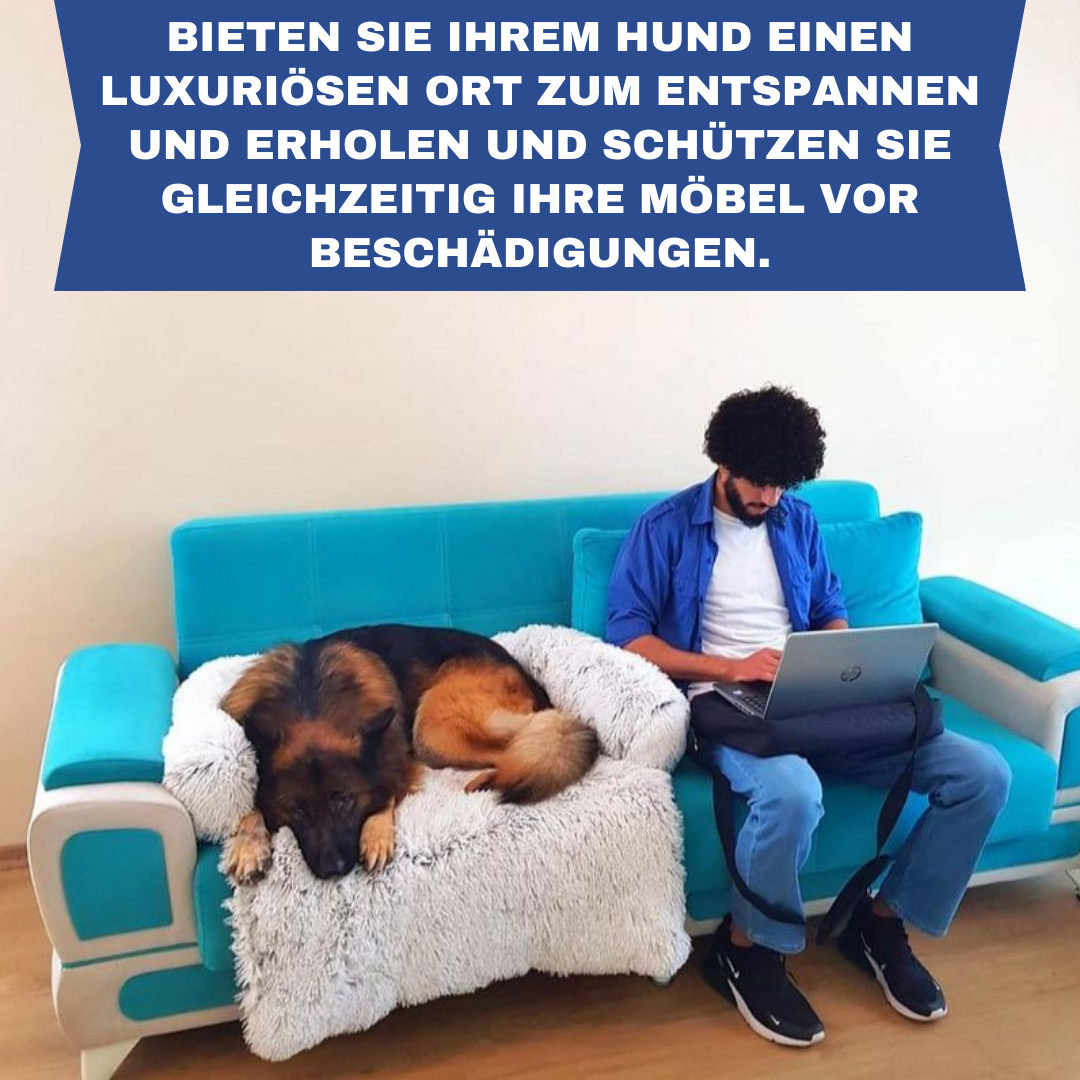 Dog Sofa Protector Bed – Cushioned Fabric, Indoor Use