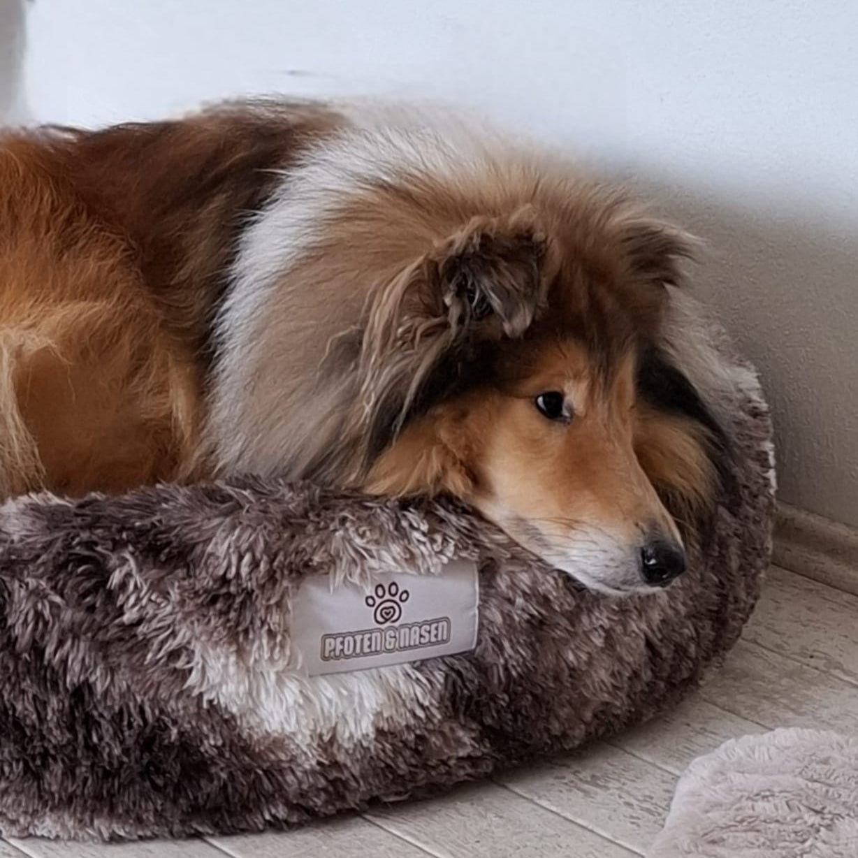 Hund schläft im Donut Hundebett Wolke 7

Flauschiges Hundekissen für kleine Hunde

