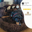 Bärenpfote Orthopädisches Hundebett, Gemütliches Tierbett