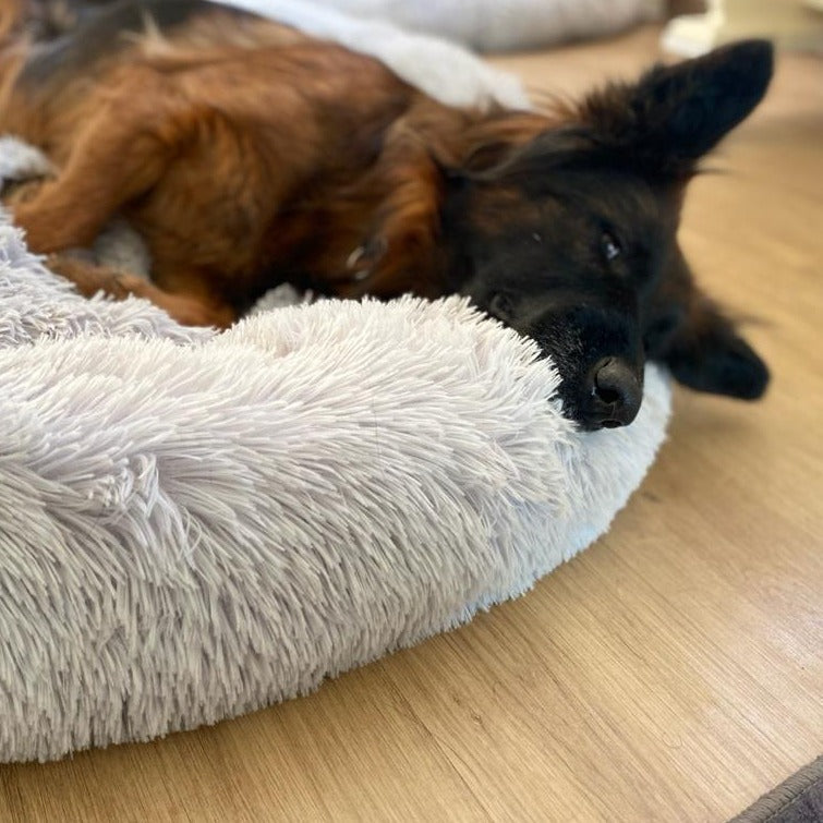 Hund schläft im Donut Hundebett Wolke 7

Flauschiges Hundekissen für kleine Hunde

