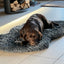 Orthopädisches Hundebett aus Memory-Schaum