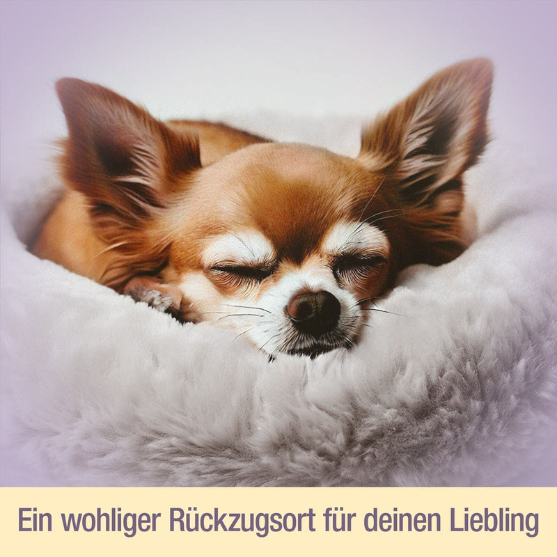 Hund schläft im Donut Hundebett Wolke 7

Flauschiges Hundekissen für kleine Hunde

