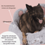 Bärenpfote Orthopädisches Hundebett, Gemütliches Tierbett