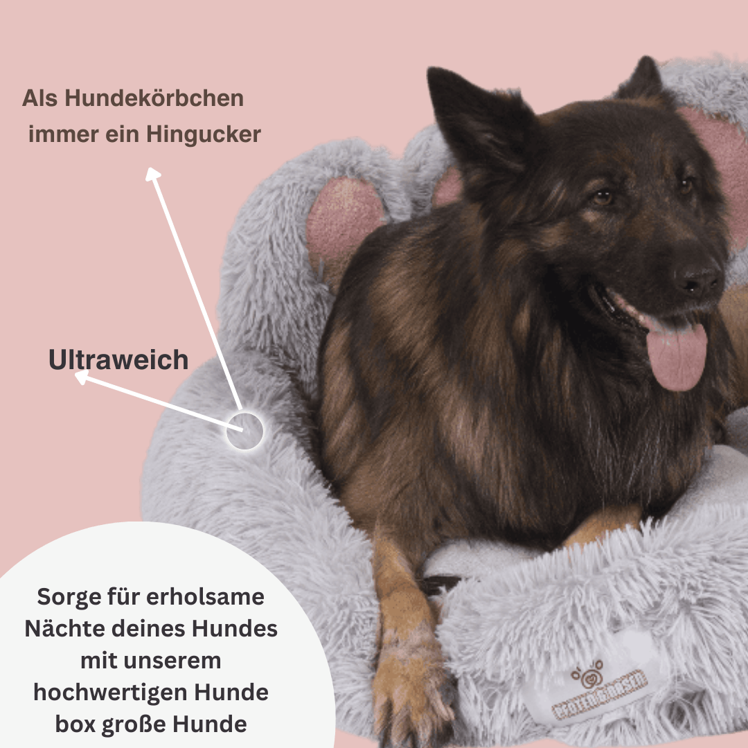 Bärenpfote Orthopädisches Hundebett, Gemütliches Tierbett