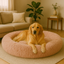 Beiges Kuschelbett Wolke 7 mit hohem Rand – Hund ruht zufrieden im Wohnzimmer.

